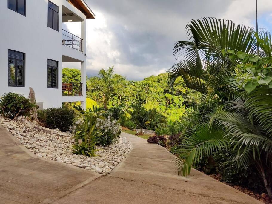 The Willow Apartment Ocho Rios Exterior foto